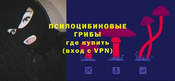 крисы Новозыбков