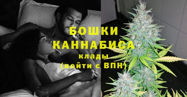 крисы Новозыбков