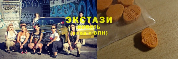 дживик Новодвинск
