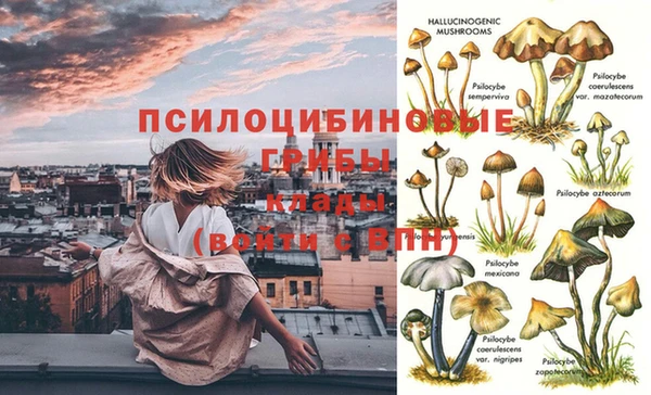 дживик Новодвинск