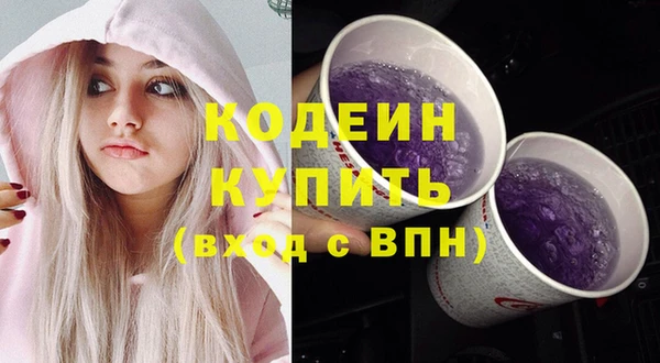 дживик Новодвинск