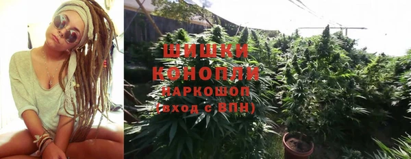 дживик Новодвинск