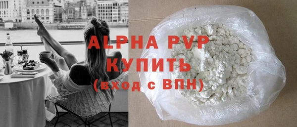 крисы Новозыбков