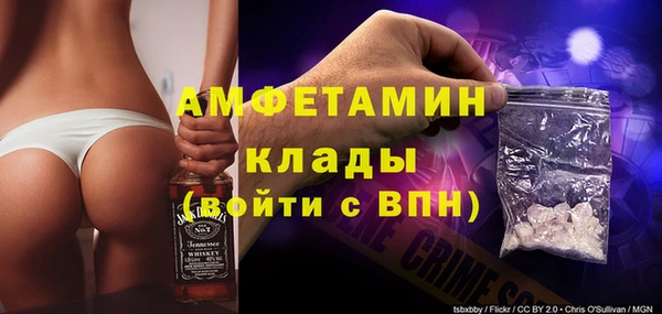 крисы Новозыбков