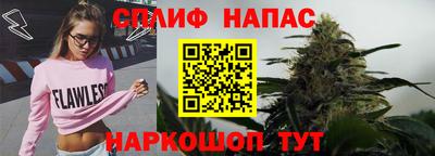 крисы Гагарин