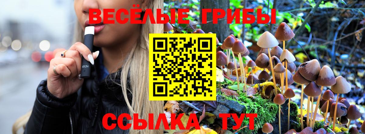 Галлюциногенные грибы GOLDEN TEACHER  Домодедово 