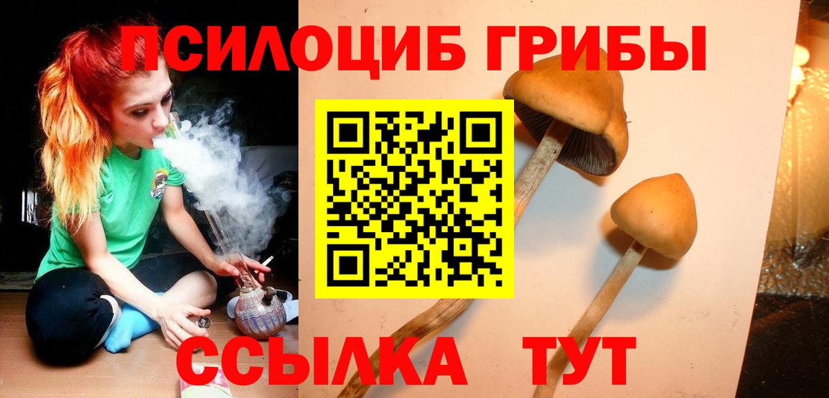 Домодедово  Галлюциногенные грибы мухоморы  Вход с VPN 