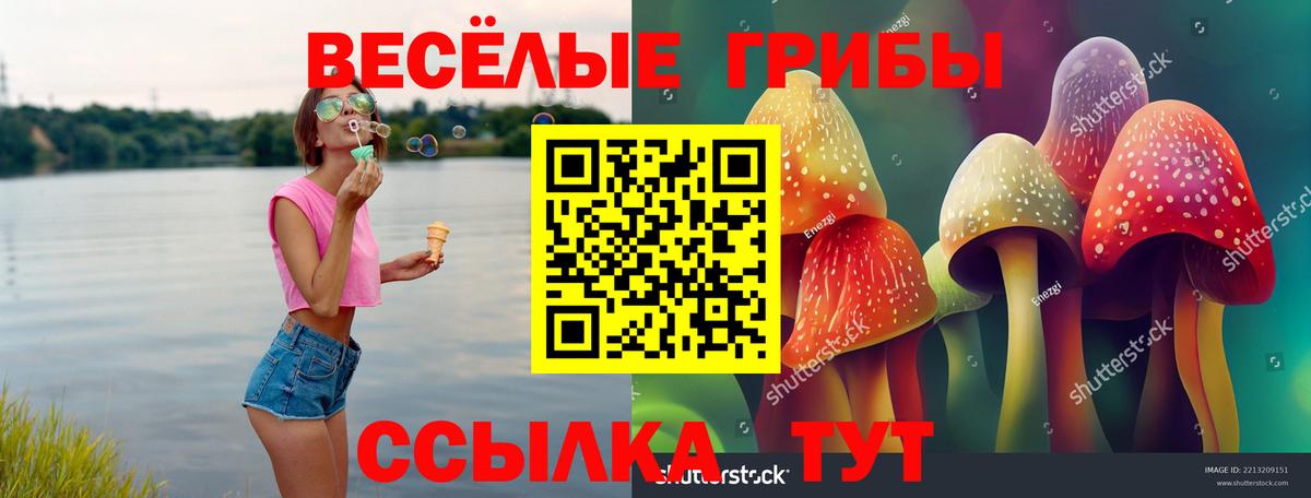Псилоцибиновые грибы GOLDEN TEACHER Домодедово